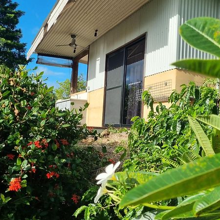 Bed and Breakfast Wompoo Eco Retreat Cow Bay Exterior foto
