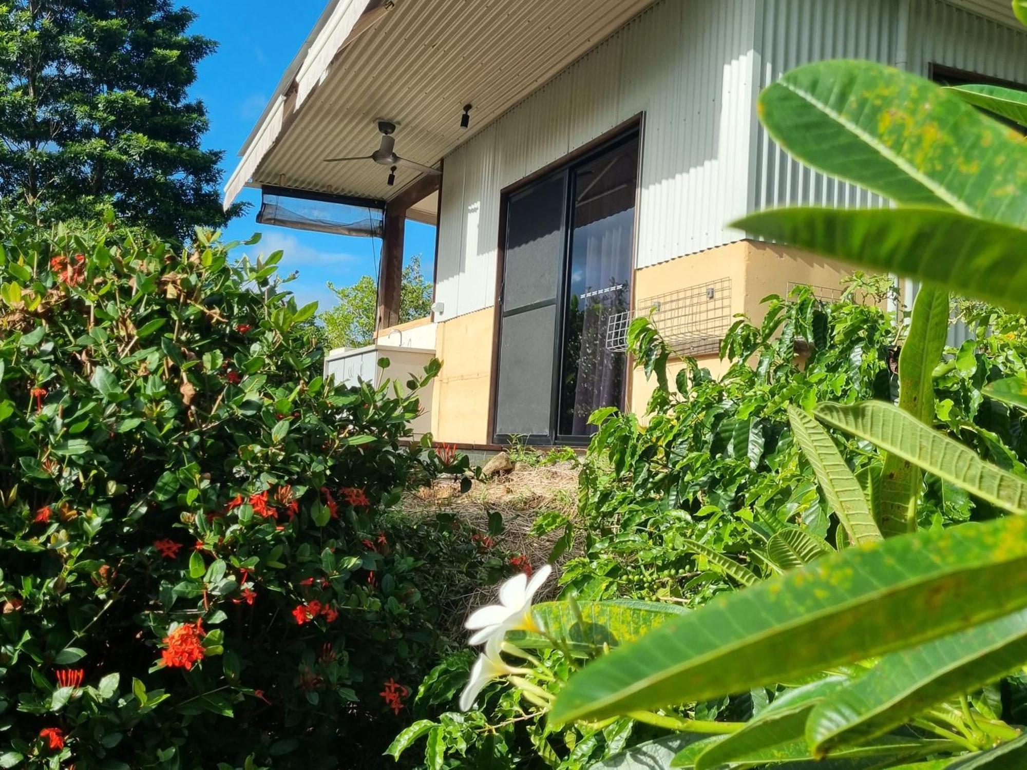 Bed and Breakfast Wompoo Eco Retreat Cow Bay Exterior foto
