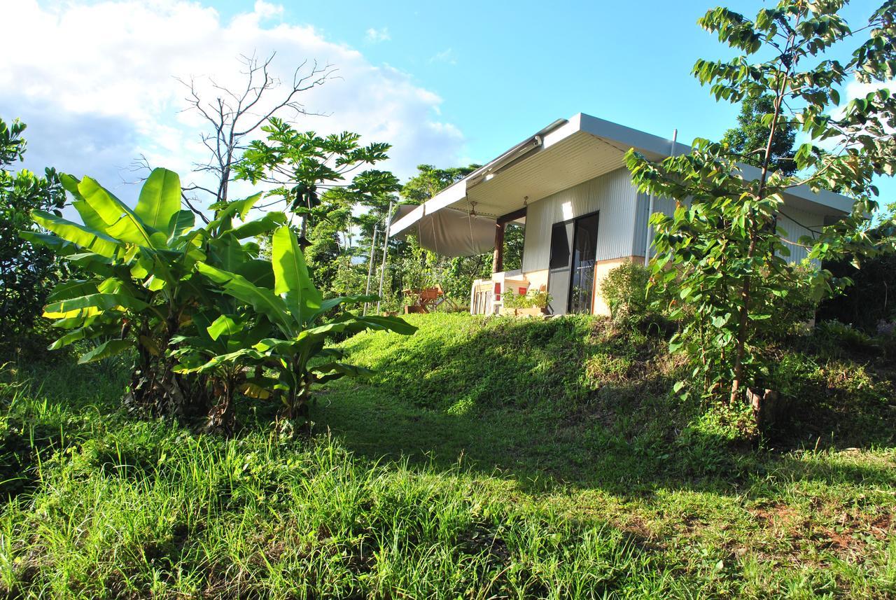 Bed and Breakfast Wompoo Eco Retreat Cow Bay Exterior foto